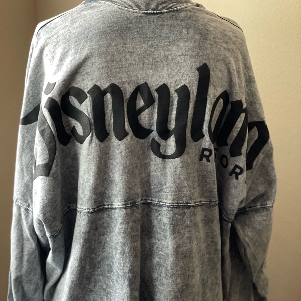 Disneyland resort spirit tee